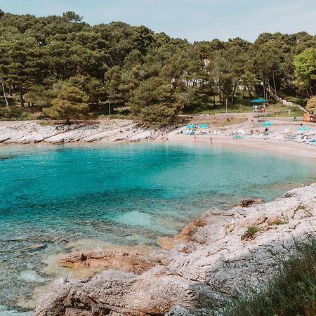 Studio Apartment Pinetree - Mali Lošinj Buitenkant foto